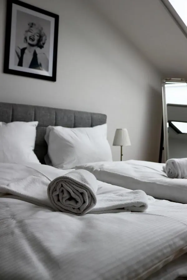 Stellar Penthouse Near Prater Apartment Vienna 0*,